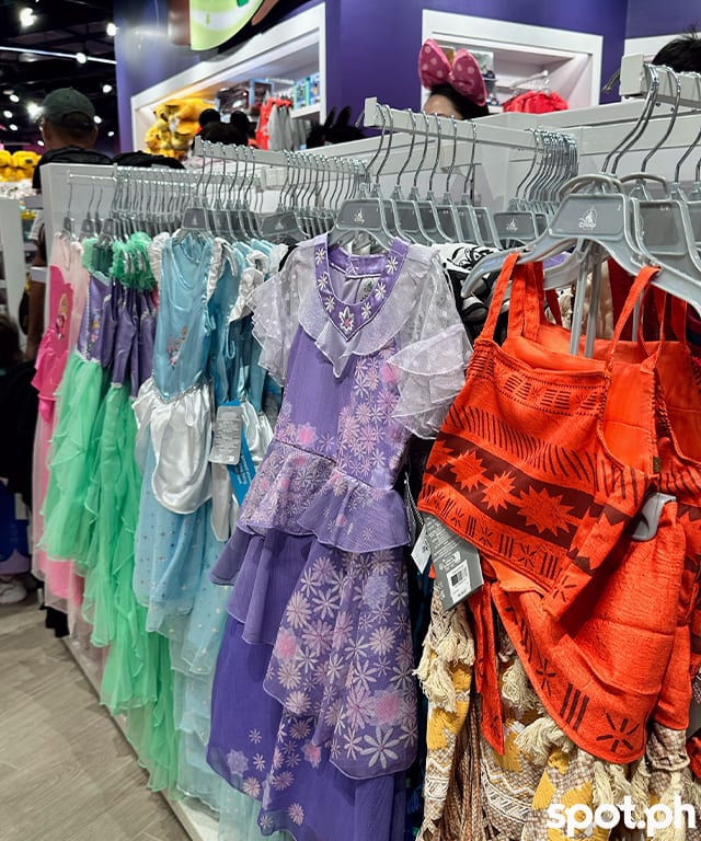 Disney Princess Costumes